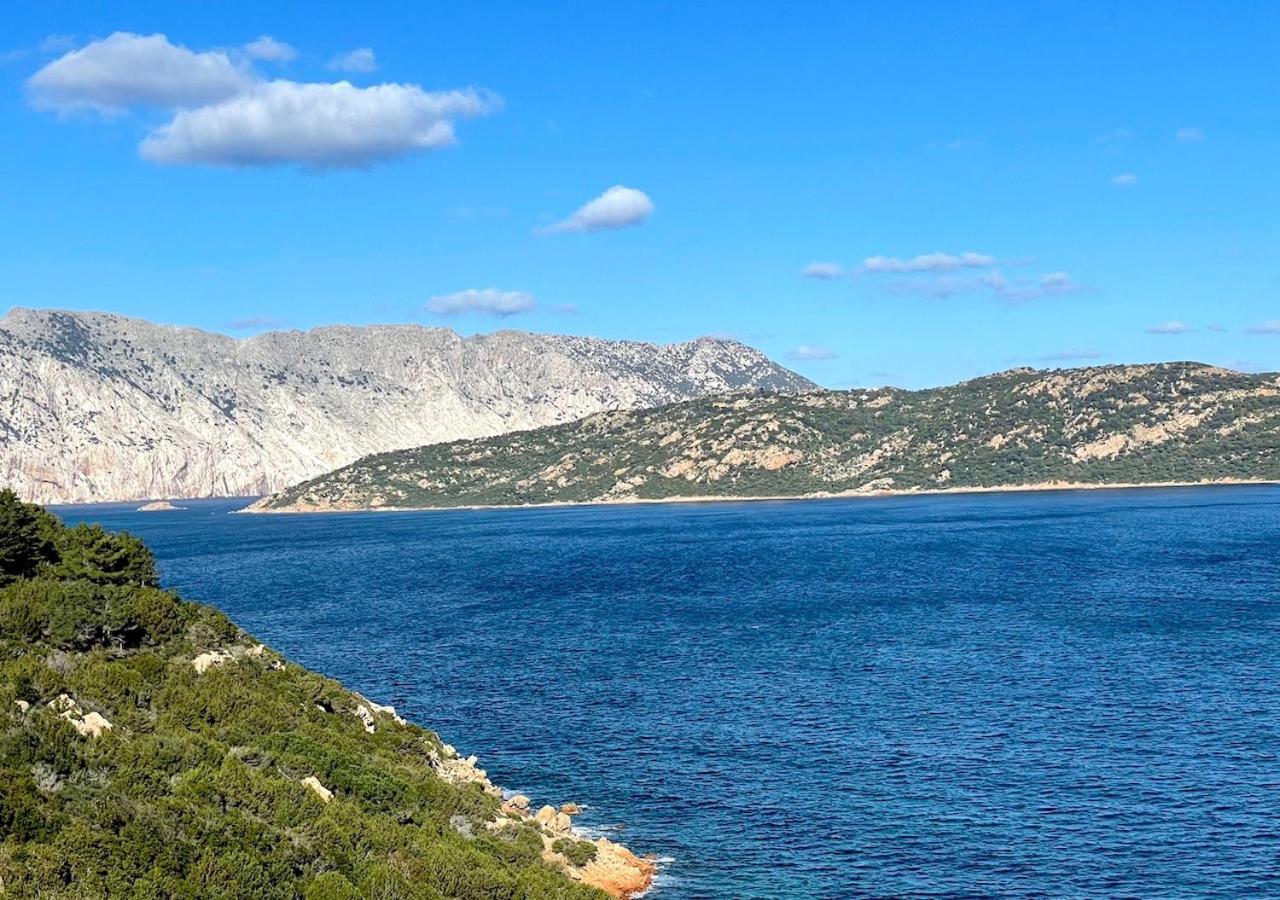 شقة San Teodoro Punta Est Delizioso Monolocale Vista Mare المظهر الخارجي الصورة