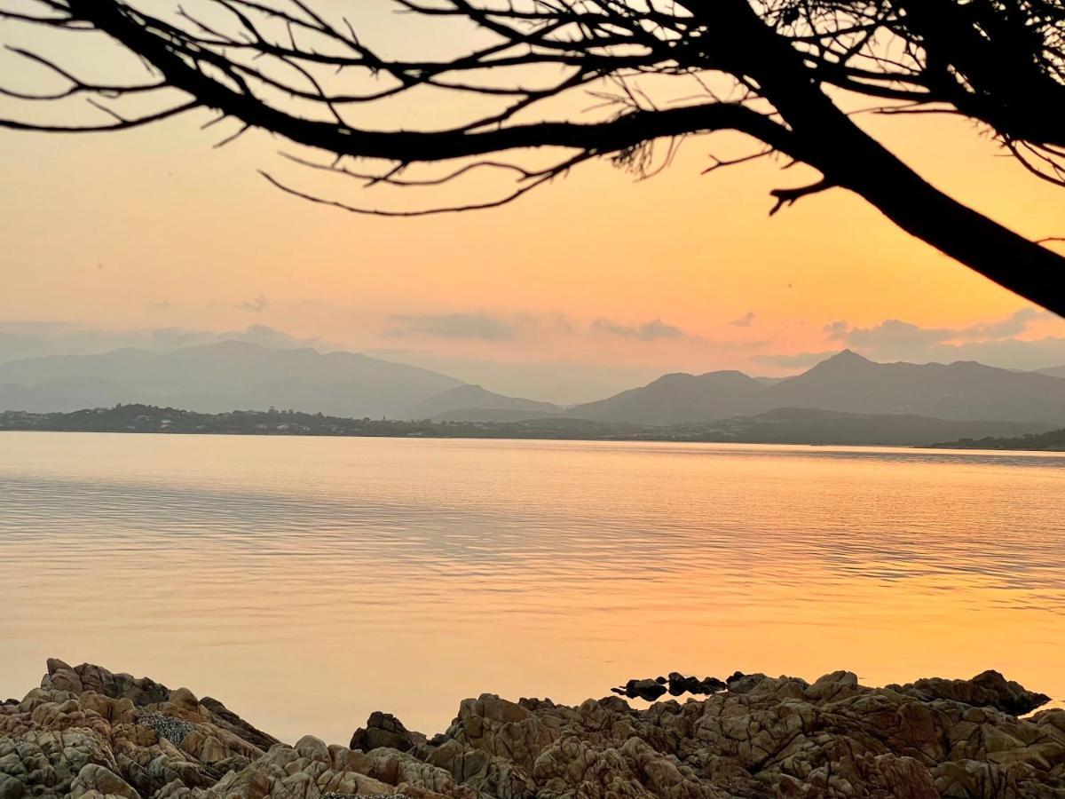 شقة San Teodoro Punta Est Delizioso Monolocale Vista Mare المظهر الخارجي الصورة