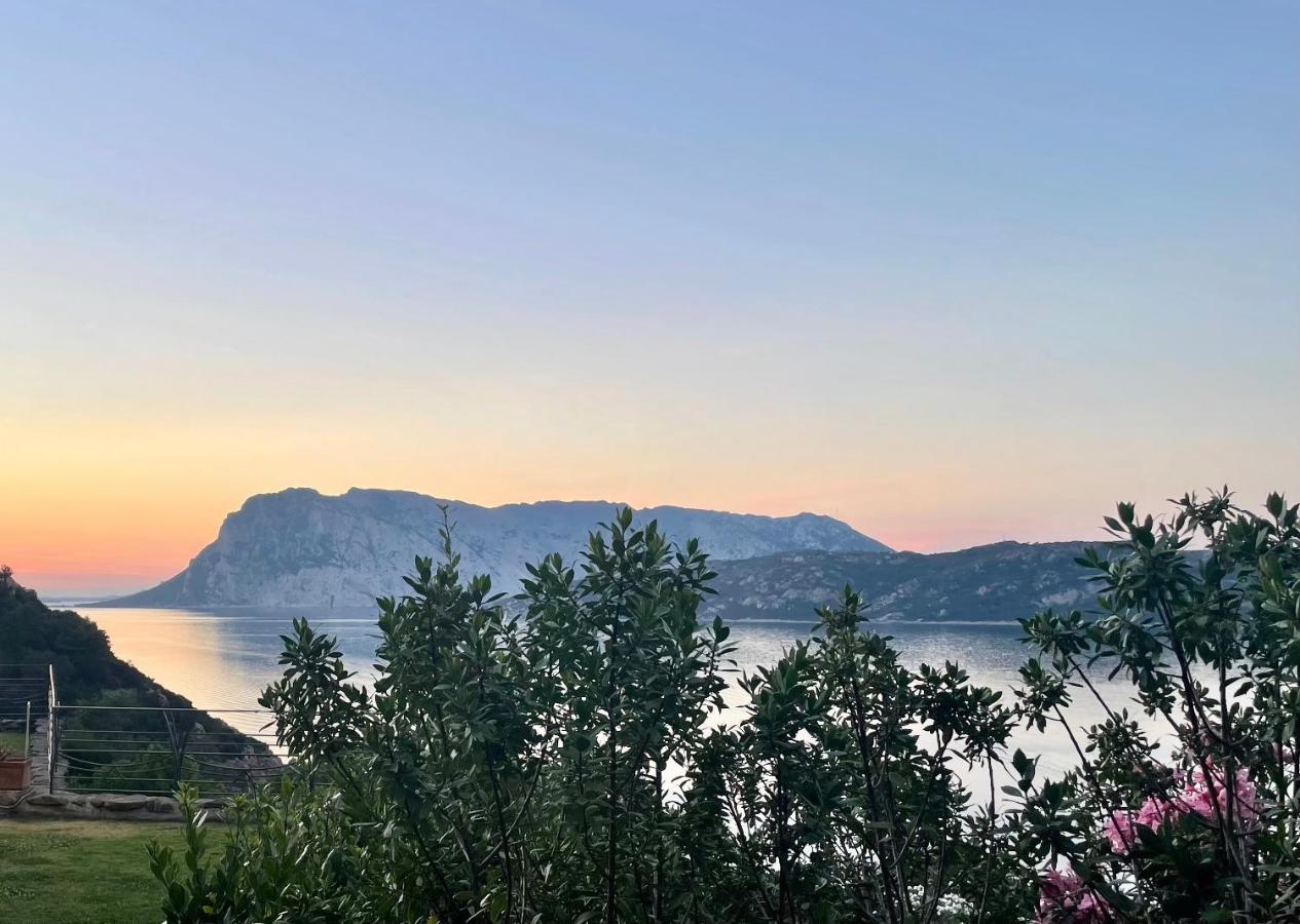 شقة San Teodoro Punta Est Delizioso Monolocale Vista Mare المظهر الخارجي الصورة
